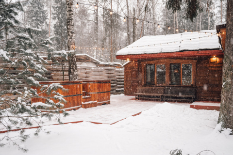 Новый год в ритме Теории U на банном курорте «Гуси-Лебеди»