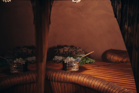 Баня, смысл и холодная ясность: взгляд Виктора Франкла