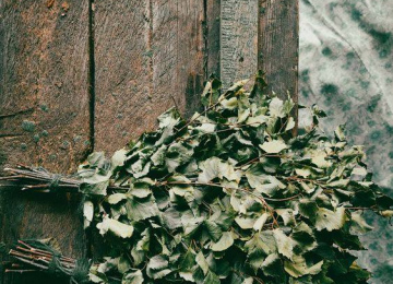 Березовый веник