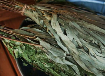 Эвкалиптовый веник