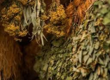 Липовый веник